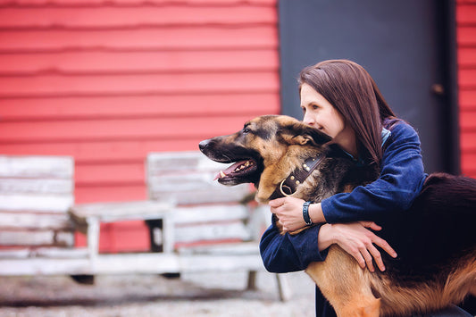 I am a Balanced Dog Trainer