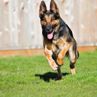 Sky's The Limit Package (5 sessions) (In-Home)