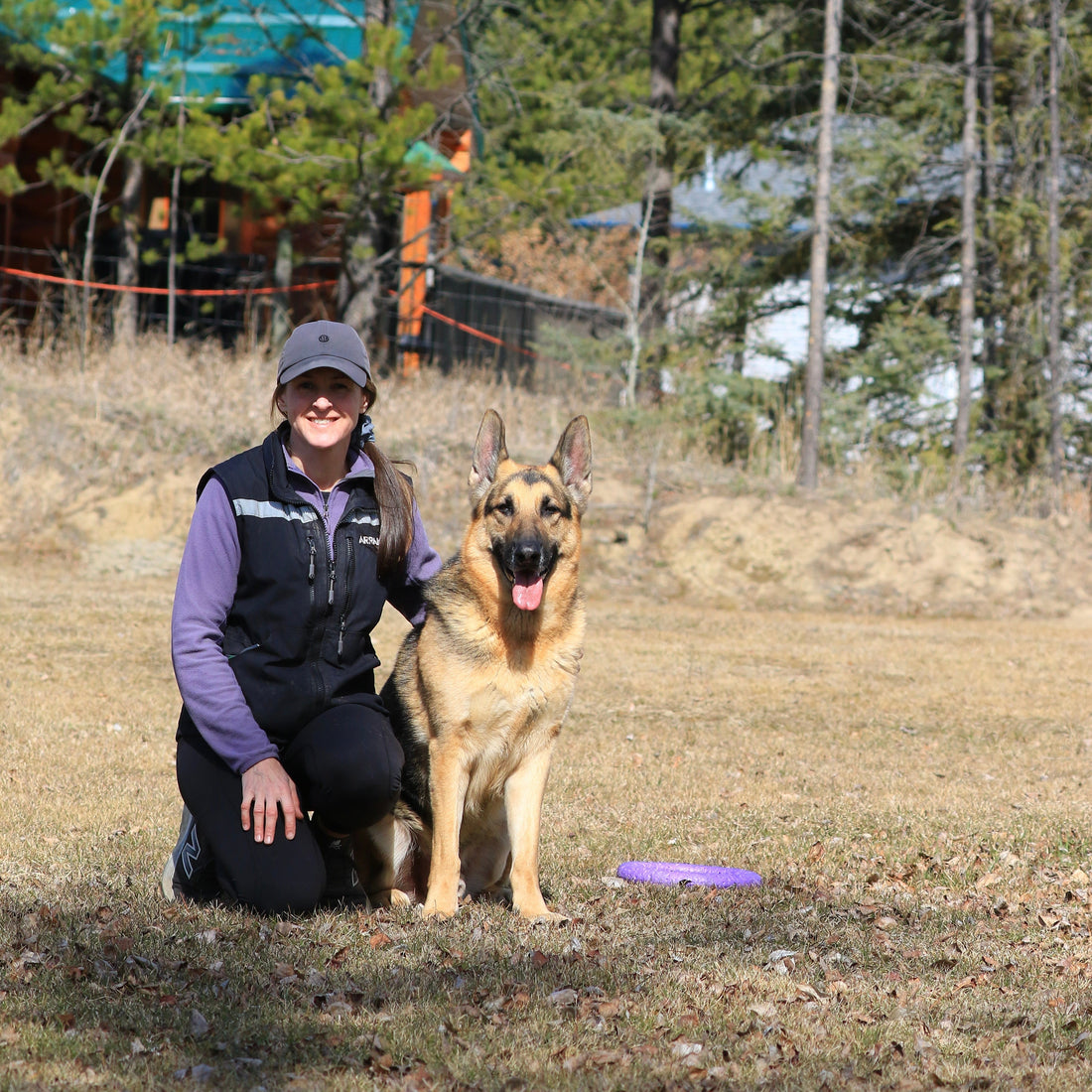 Dog training session showing confident handler working with high-drive dog