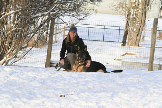 Time to Be Present: How Putting Your Phone Down Can Transform Your Relationship With Your Dog