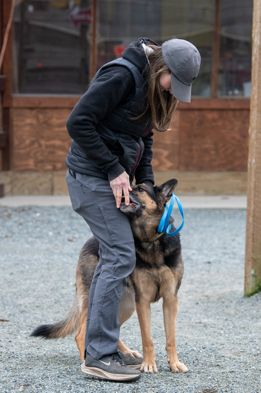 “My Dog Isn’t Food Motivated!” (Yes… They Probably Are)