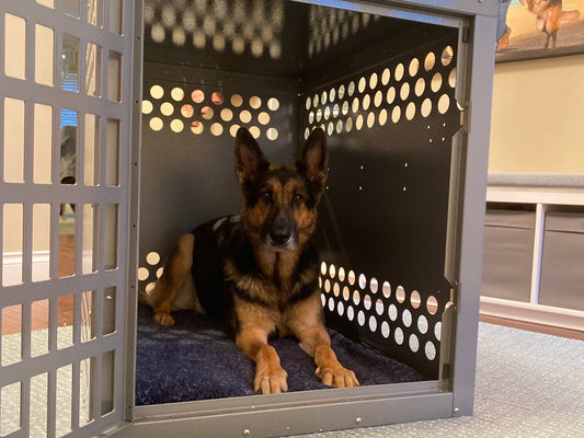 Attention New Parents: It’s Okay to Give Your Dog Boundaries