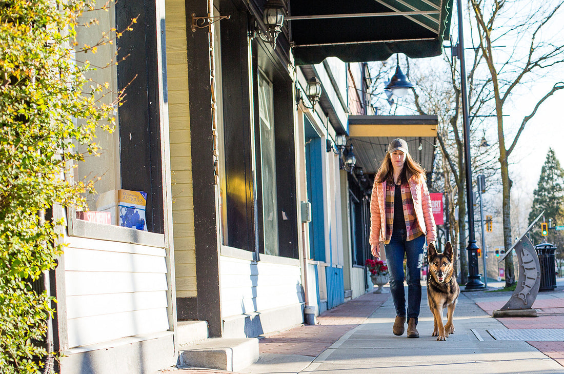 Chaos Before the Walk: Why It Starts Before You Even Leave the House