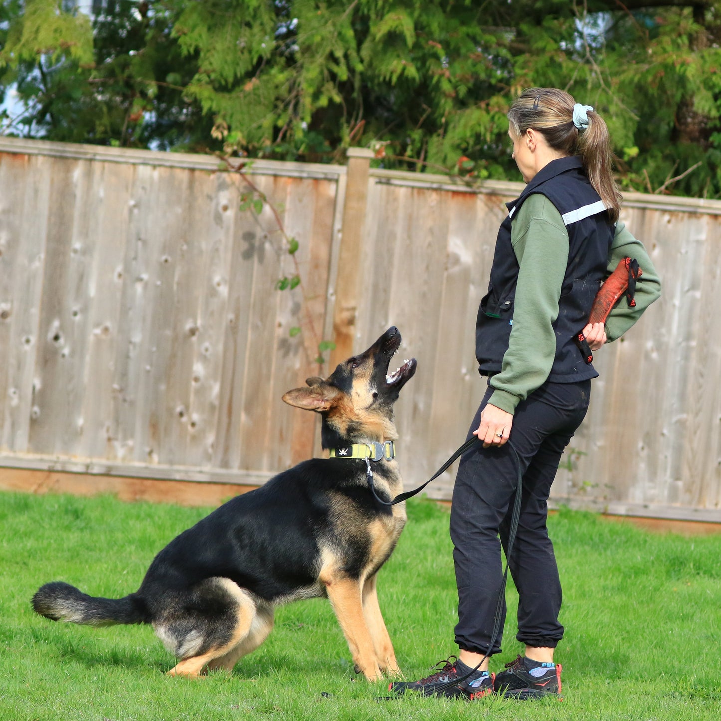 Private Lesson at BC Westcoast K9