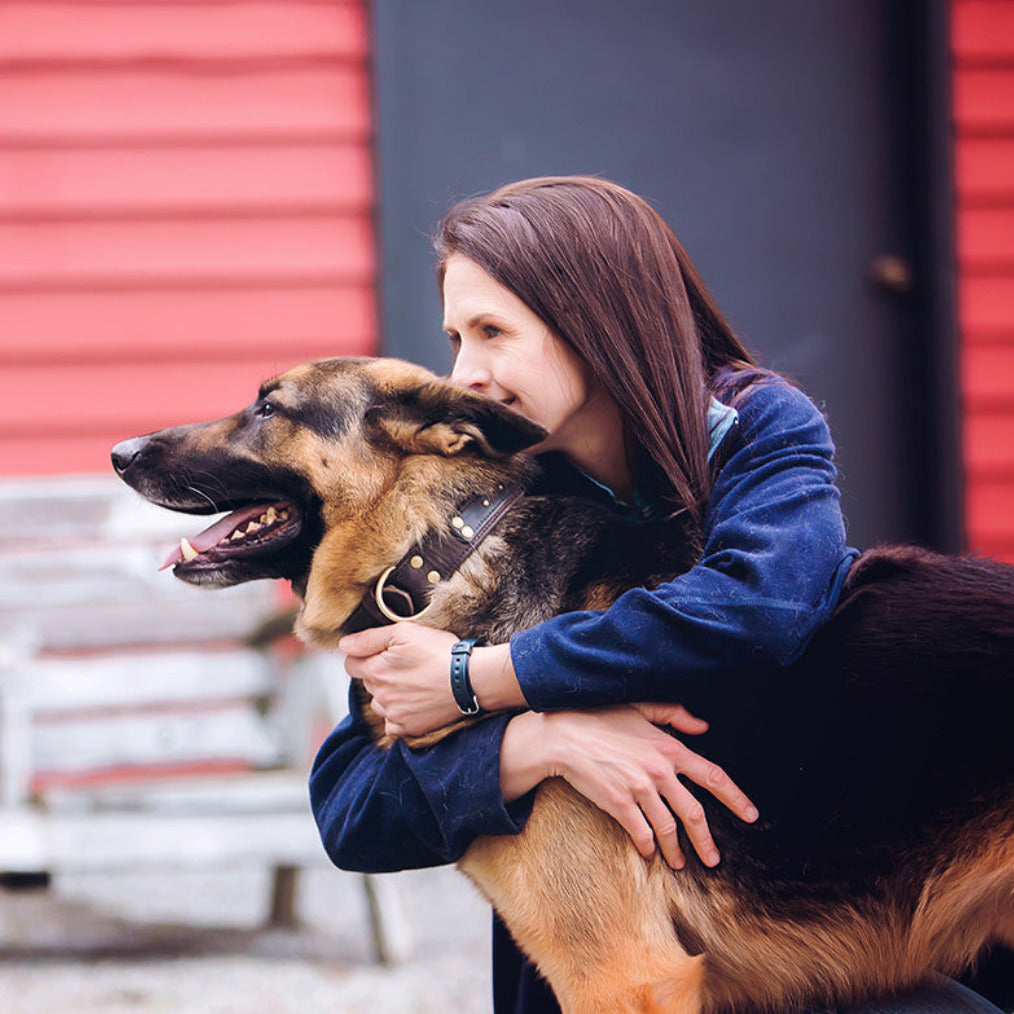 2-4 Week Bootcamps – BC Westcoast K9 Services